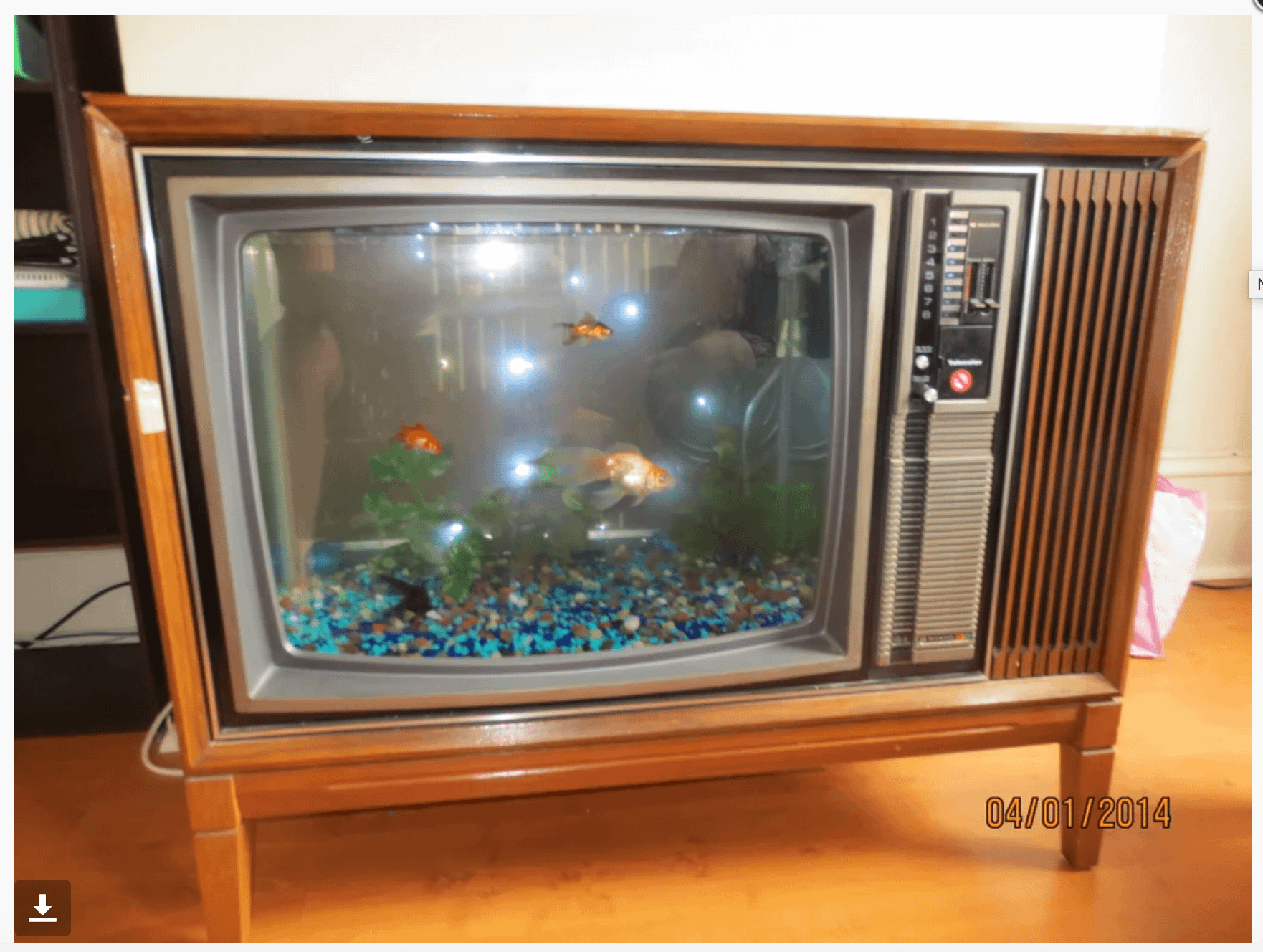 Television aquarium DIY